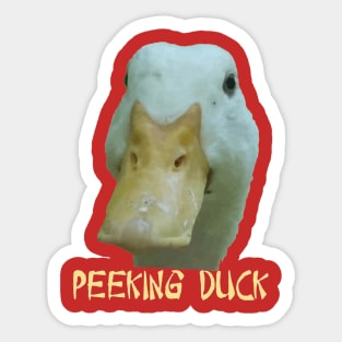 Quirky Peeking Duck Face Over Punny Asian Text Sticker